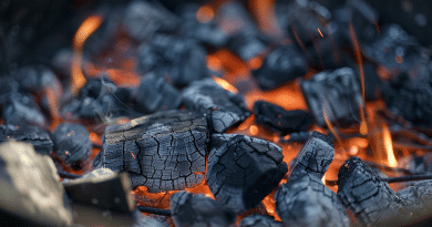 BBQ charcoal - photo of hot BBQ charcoal coals