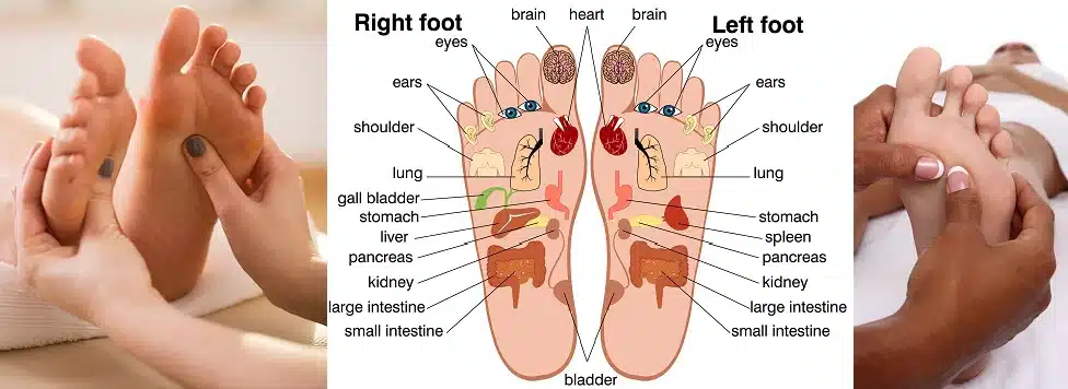 massage chairs - foot reflexology chart