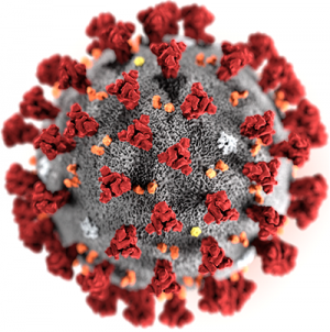 coronavirus with spikes