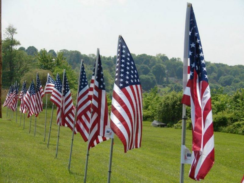 American flags line Hendersonville's Main Street in honor of veterans