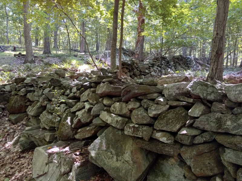 Local Group, Native Americans Unite to Save Chappaqua Forest