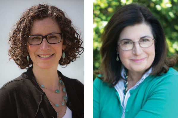 Levenberg, Halper Square Off in Race to Succeed Galef in Assembly | The ...